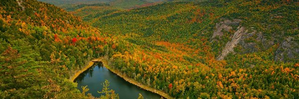 Rezerwat przyrody High Peaks Wilderness, Lasy, Stany Zjednoczone, Giant Washbowl, Drzewa, Góry, Jezioro, Jesień, Kolorowe, Nowy Jork