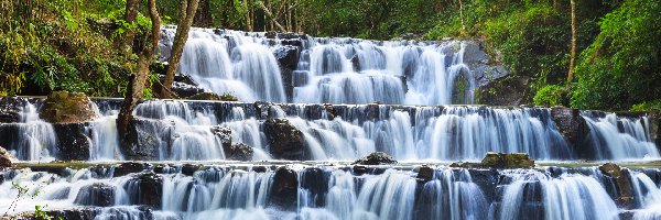 Tajlandia, Drzewa, Park Narodowy Namtok Phlio, Las, Wodospad Samlan, Saraburi, Prowincja