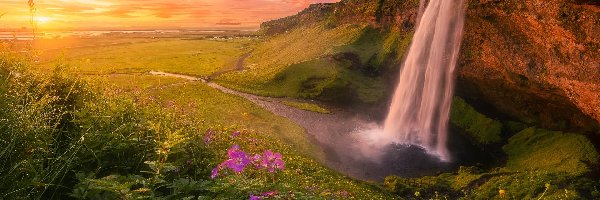 Islandia, Kwiaty, Roślinność, Wodospad Seljalandsfoss, Skały, Chmury, Zachód słońca