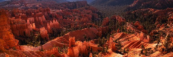 Stany Zjednoczone, Kanion, Drzewa, Skały, Góry, Utah, Park Narodowy Bryce Canyon