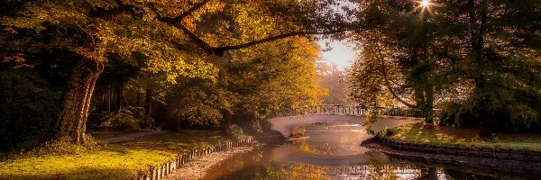 Jesień, Most, Drzewa, Staw, Park, Promienie słońca, Odbicie