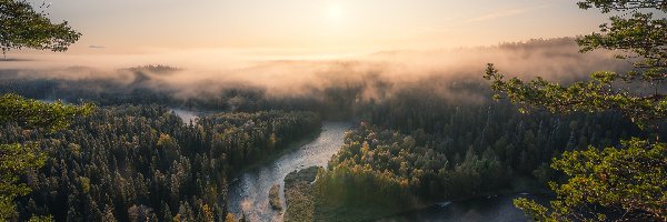 Mgła, Las, Rzeka, Wschód słońca, Park Narodowy Oulanka, Finlandia