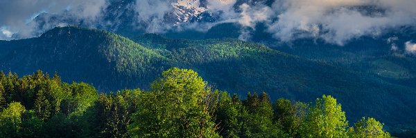 Niemcy, Las, Drzewa, Alpy Berchtesgadeńskie, Góry, Bawaria, Chmury
