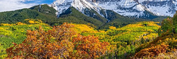 Kolorowe, San Juan Mountains, Stany Zjednoczone, Kolorado, Drzewa, Jesień, Wzgórza, Góry