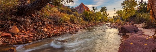Góra, Park Narodowy Zion, Rzeka, Drzewa, Utah, Stany Zjednoczone