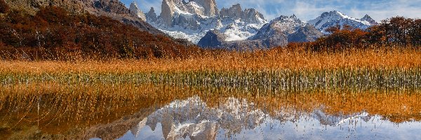 Jezioro, Fitz Roy, Park Narodowy Los Glaciares, Patagonia, Argentyna, Jesień, Szuwary, Góra, Drzewa