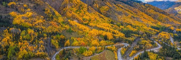 Droga, Lasy, Stany Zjednoczone, Kolorado, Jesień, Million Dollar Highway US 550, Ouray, Góry