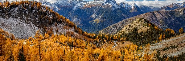 Żółte, Góry, Stany Zjednoczone, Stan Waszyngton, Entiat Mountains, Drzewa, Modrzewie, Jesień