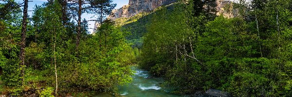Skały, Park Narodowy Ordesa y Monte Perdido, Rzeka, Drzewa, Aragonia, Hiszpania