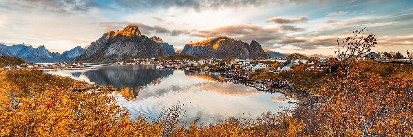 Drzewa, Jesień, Góry, Morze, Lofoty, Norwegia