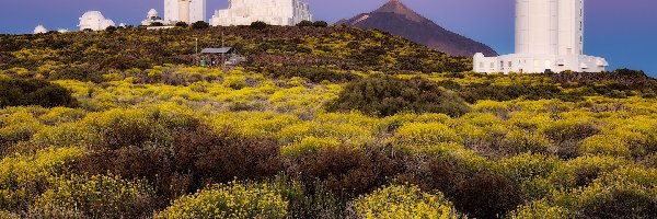 Obserwatorium, Góra, Teide, Trawy Budowla, Teneryfa, Hiszpania