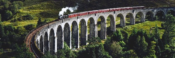 Pociąg, Dolina, Wiadukt Glenfinnan, Roślinność, Glenfinnan, Szkocja