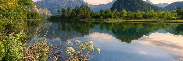 Chmury, Odbicie, Drzewa, Austria, Jezioro Almsee, Góry
