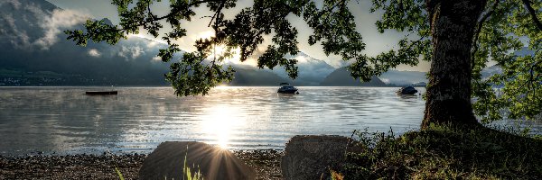 Drzewo, Wschód słońca, Jezioro Wolfgang, Austria, Góry