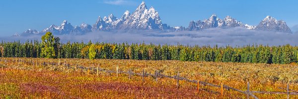 Ogrodzenie, Pole, Góry, Park Narodowy Grand Teton, Jesień, Stany Zjednoczone, Stan Wyoming, Teton Range, Drzewa