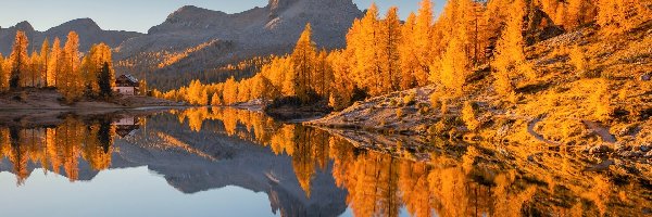 Lago Federa, Jezioro, Góry, Belluno, Włochy, Modrzewie, Drzewa, Dolomity, Jesień