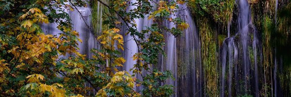 Stany Zjednoczone, Jesień, Hrabstwo Siskiyou, Drzewa, Wodospad Mossbrae Falls, Stan Kalifornia, Dunsumuir