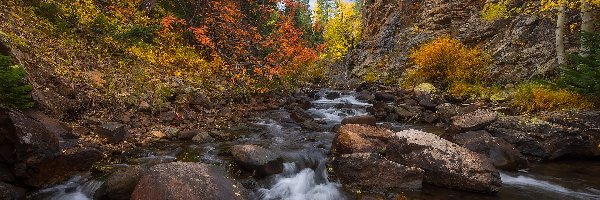 Stany Zjednoczone, Drzewa, Jesień, Kamienie, Potok, Kolorado, Park Narodowy Gór Skalistych