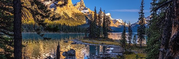 Park Narodowy Jasper, Maligne Lake, Drzewa, Kanada, Jezioro, Góry