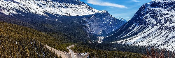 Las, Cirrus Mountain, Canadian Rockies, Góry, Ośnieżone, Kanada, Park Narodowy Banff, Góra, Droga