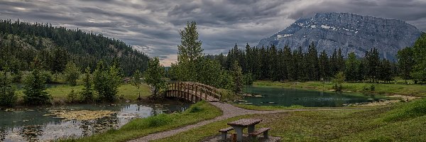 Mostek, Staw, Mount Rundle, Góra, Góry, Kanada, Alberta, Drzewa, Park Narodowy Banff