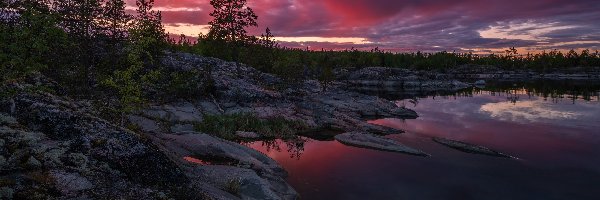 Noc, Jezioro, Ładoga, Karelia, Rosja, Drzewa, Skały