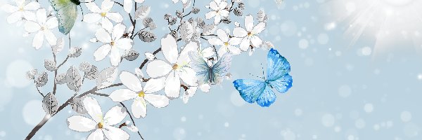 Gałązka, Kwiaty, Białe, 2D, Motyle