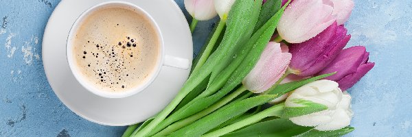 Spodek, Tulipany, Filiżanka, Kawa, Kolorowe, Kwiaty