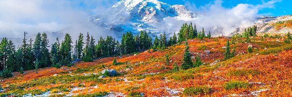 Mount Rainier, Góry, Stany Zjednoczone, Stan Waszyngton, Stratowulkan, Drzewa, Jesień, Park Narodowy Mount Rainier