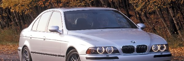 E39, M5, BMW