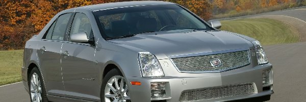 Cadillac STS, Srebrny