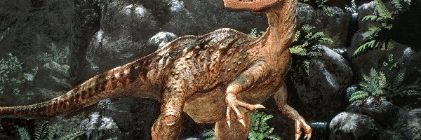 Ogon, Dinozaur