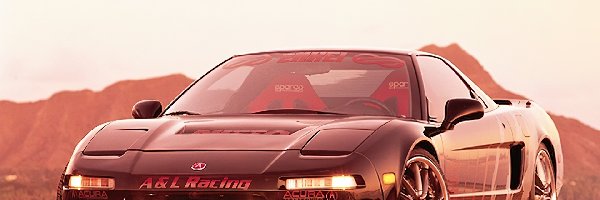 Acura NSX, Zawieszenie, Obniżone, Wyścigowa