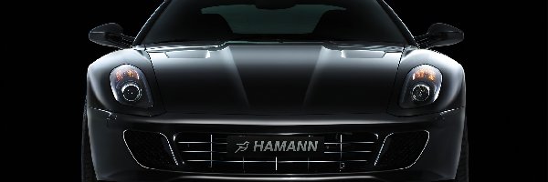 Hamann, Ferrari 599, Przód