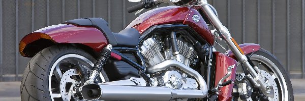 Wydechowa, Rura, Harley Davidson V-Rod Muscle