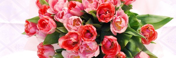 Tulipanów, Różowych, Bukiet