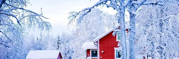 Ośnieżone, Śnieg, Zima, Drzewa, Domy, Czerwone