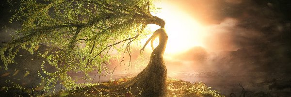 Słońce, Drzewo, Kobieta