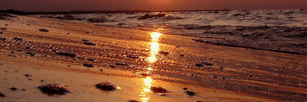 Zachód Słońca, Morze, Plaża