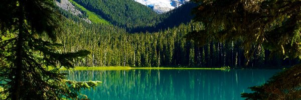 Jezioro, Góry, Lasy, Kanada, Joffre