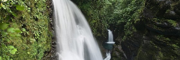 Skały, Kostaryka, Zieleń, Wodospad