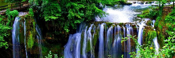 Wodospad, Mostek, Drzewa, Piękny