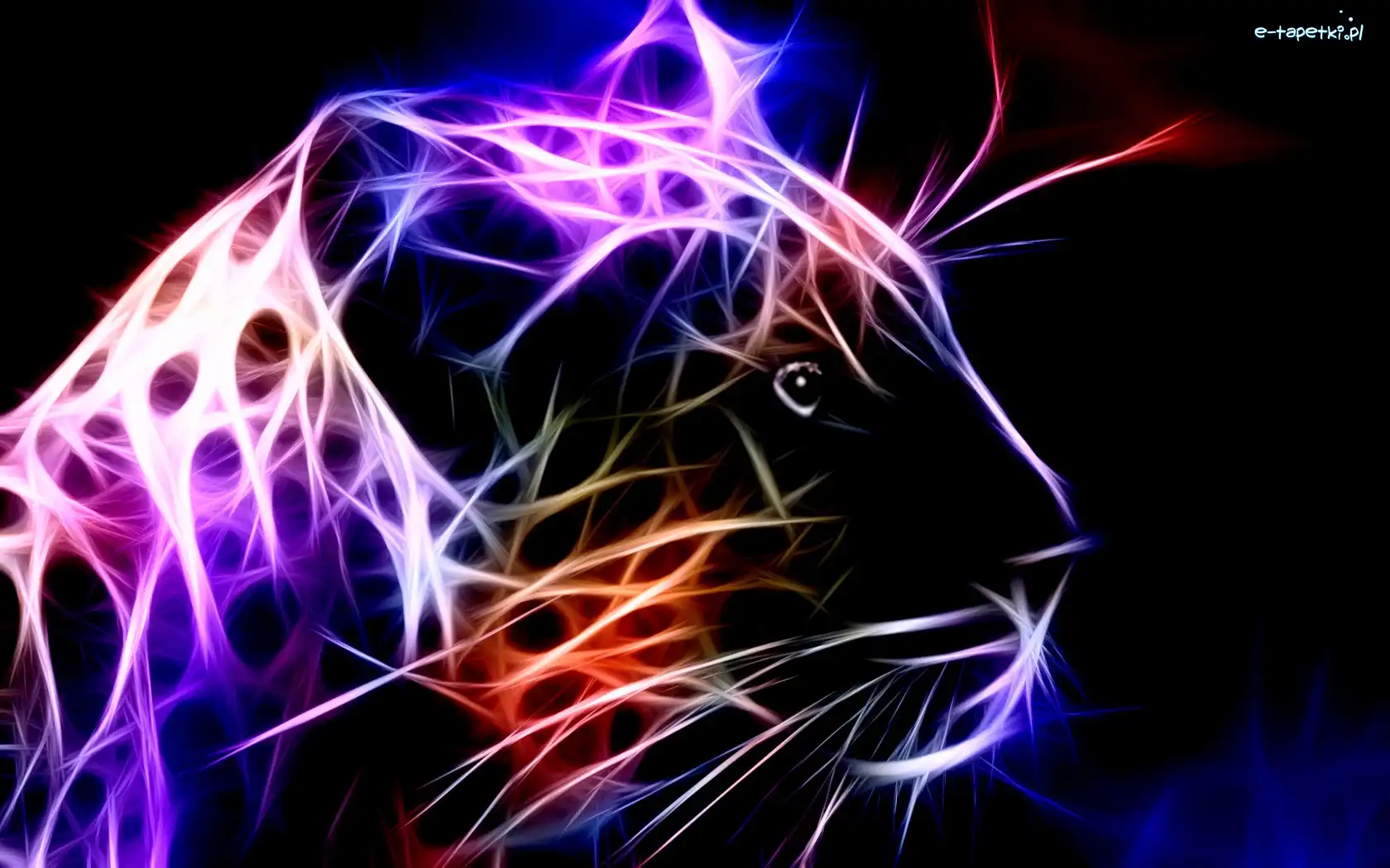Fractalius, Kot, Dziki