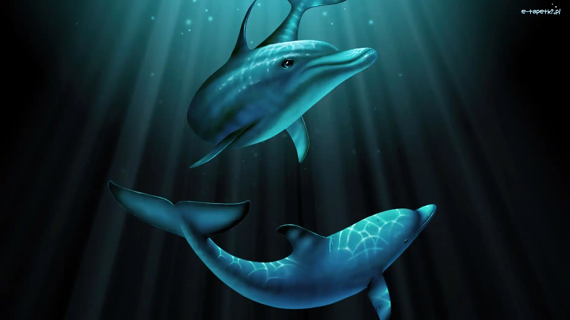 Woda, Delfiny