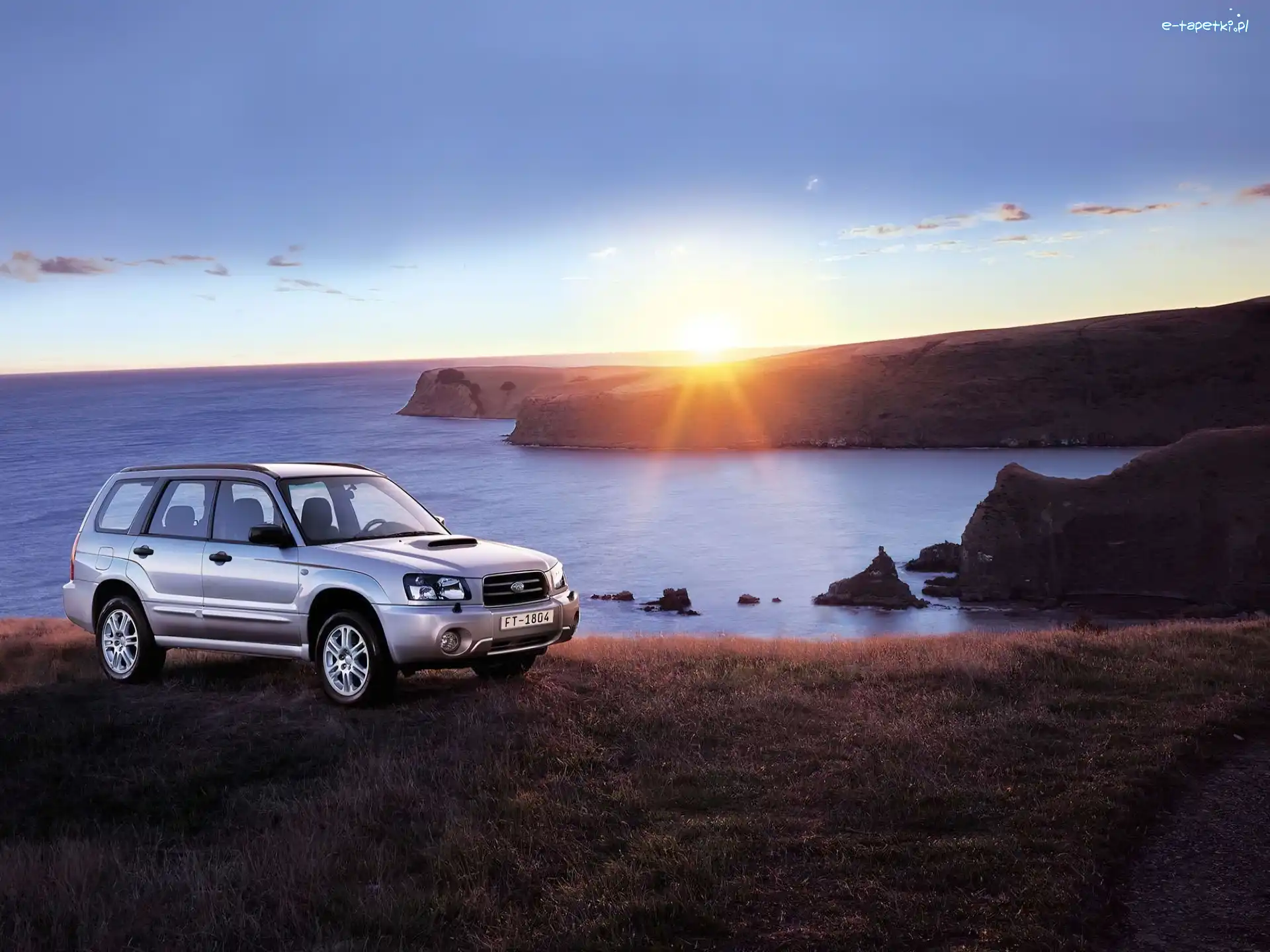 SUV, Forester, Subaru