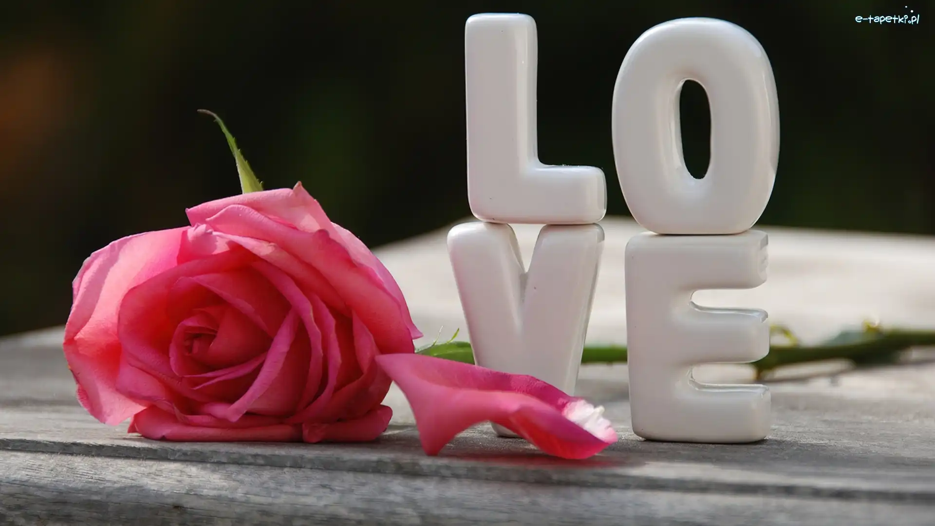 Róża, Love, Literki, Różowa