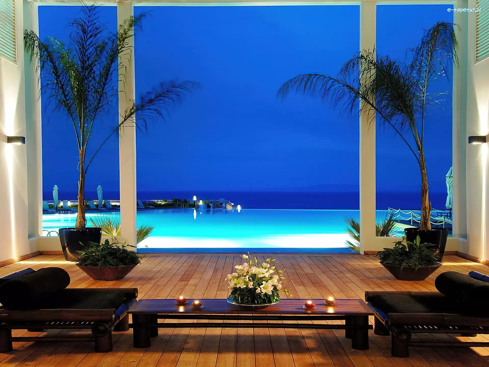 Palmy, Basen, Patio