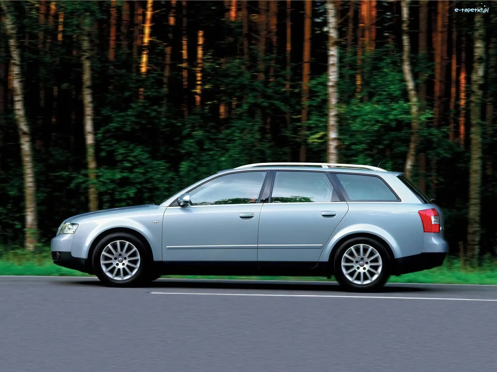 Avant, Drzewa, Lewy Profil, Audi A4