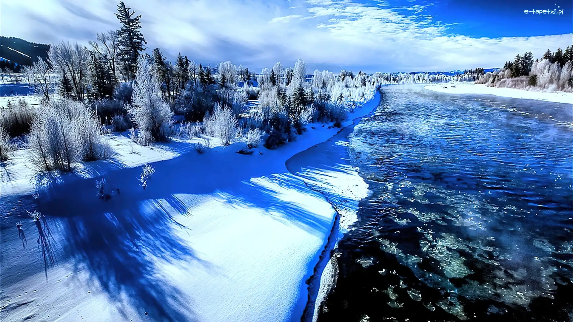 Drzewa, Woda, Zima