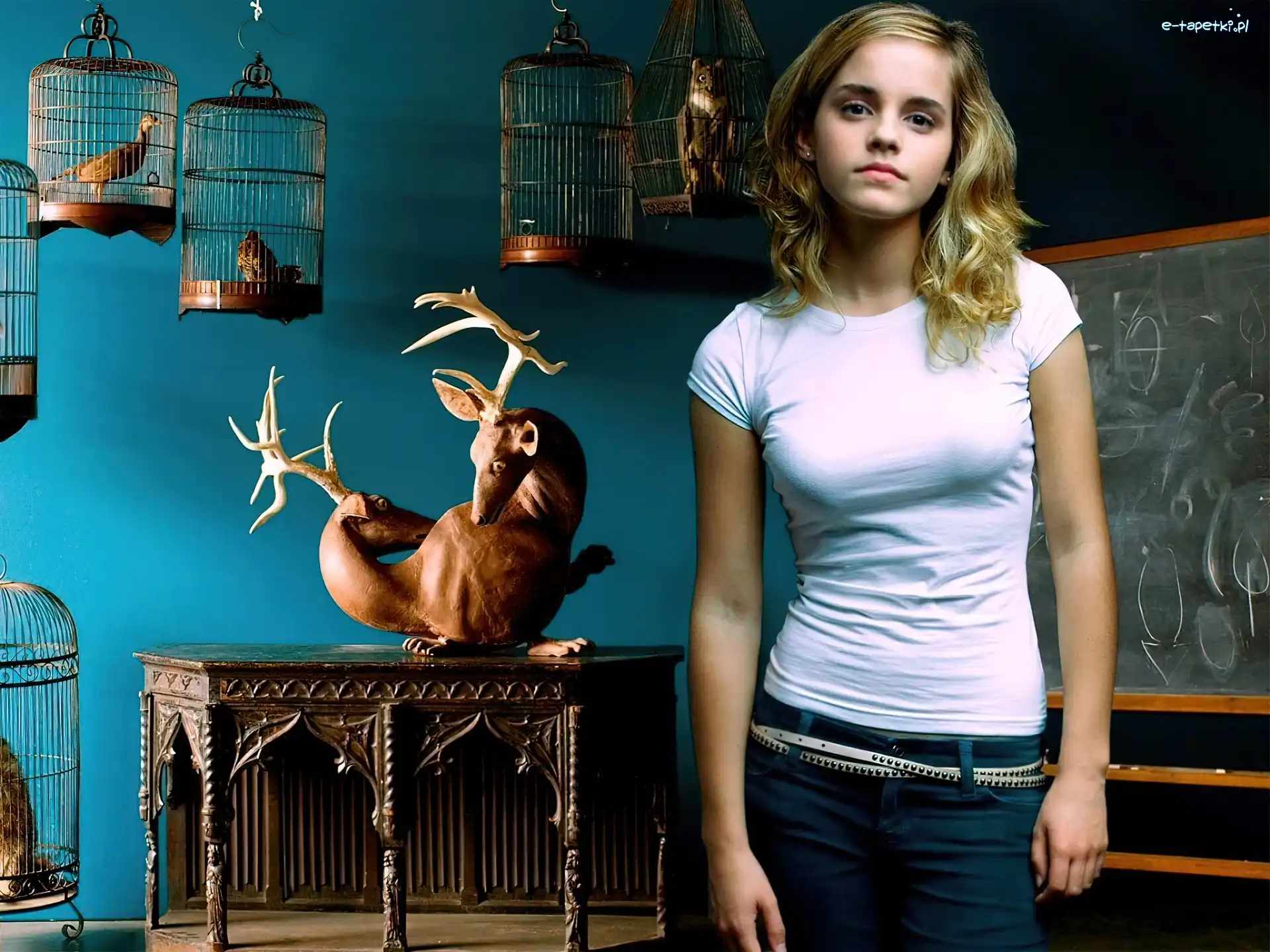 Klatki, Tablica, Emma Watson